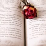 Ini Loh ! Tips Membuat Novel Remaja Romantis Yang Menarik dan Berkualitas